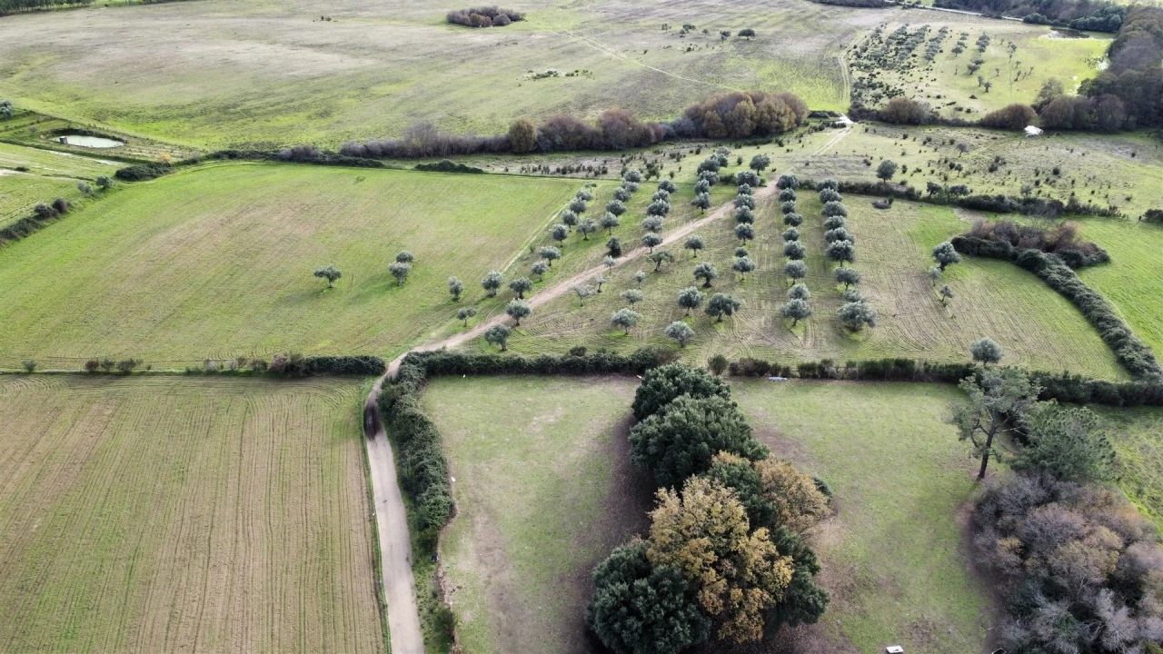 Terreno Agricola ou Rústico para Venda em Soalheira Foto 5
