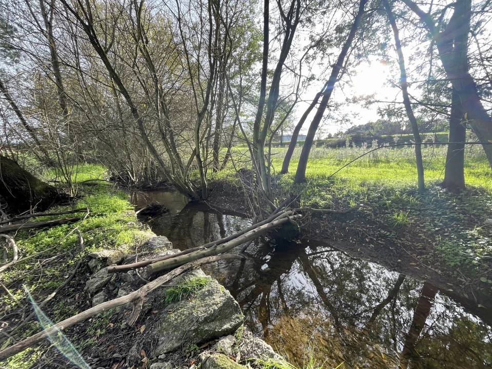 Terreno Agricola ou Rústico para Venda em Soalheira Foto 33