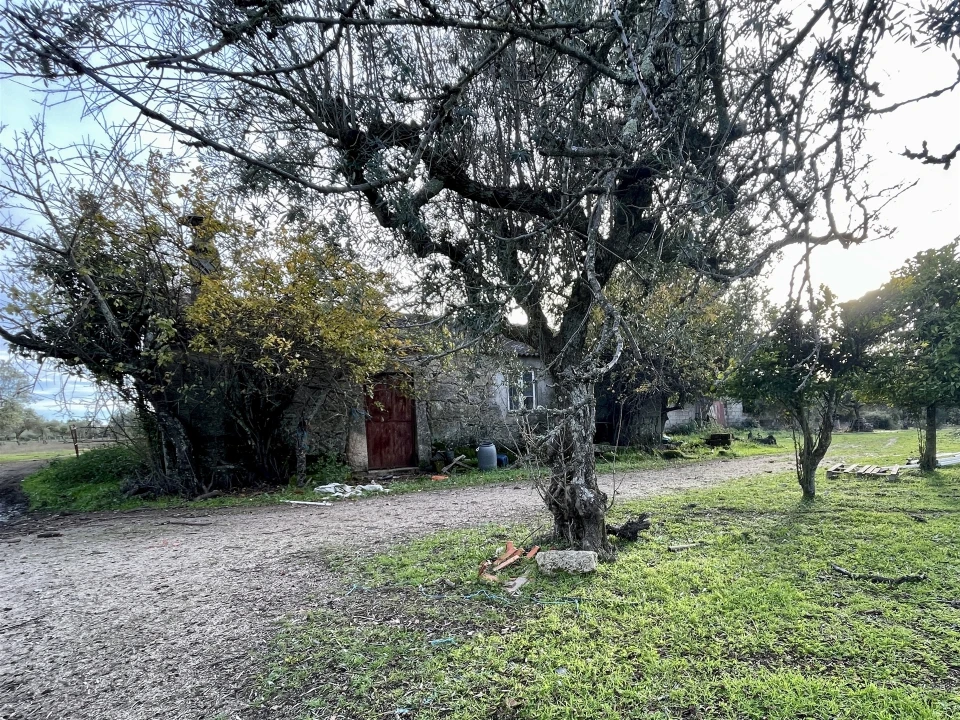 Terreno Agricola ou Rústico para Venda em Soalheira Foto 49