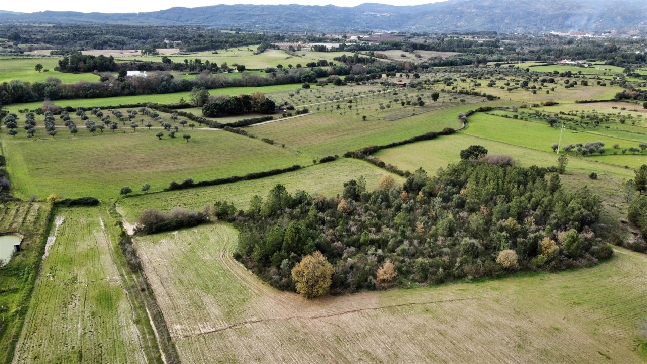 Terreno Agricola ou Rústico para Venda em Soalheira Foto 1