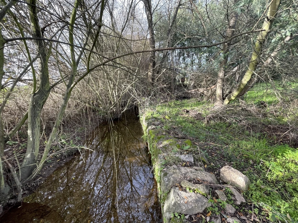Terreno Agricola ou Rústico para Venda em Soalheira Foto 35