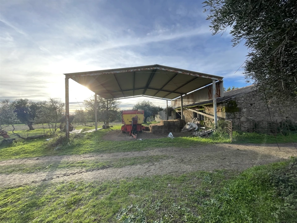 Terreno Agricola ou Rústico para Venda em Soalheira Foto 54