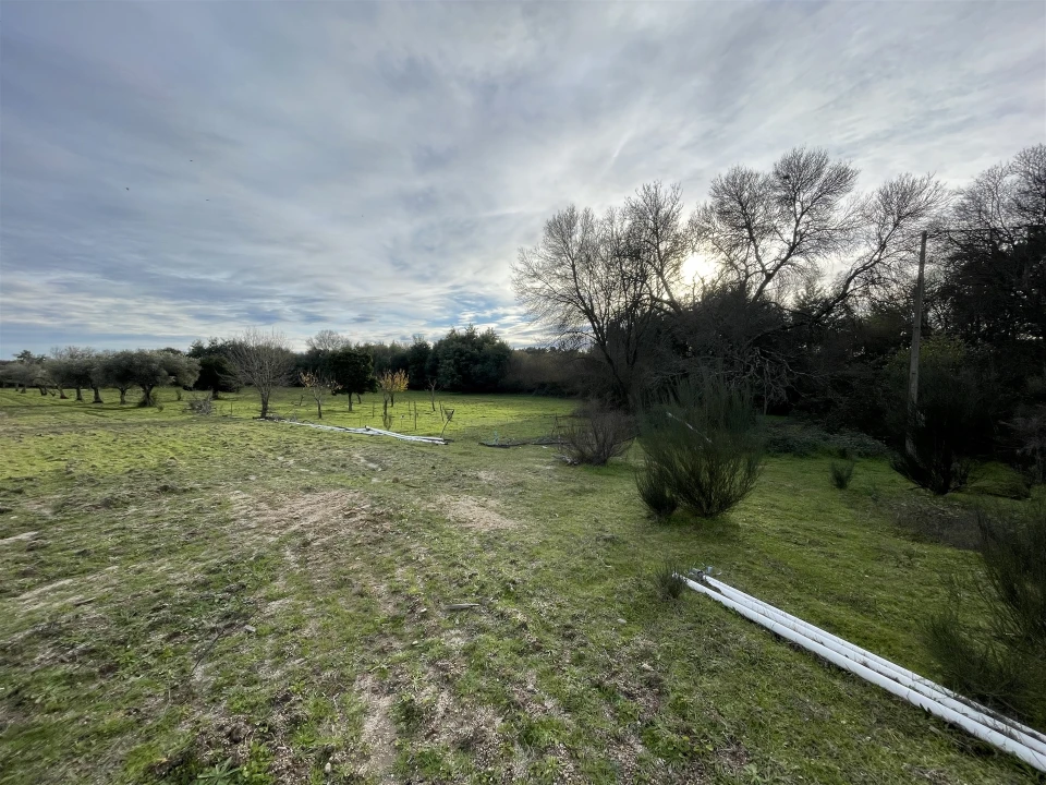 Terreno Agricola ou Rústico para Venda em Soalheira Foto 45