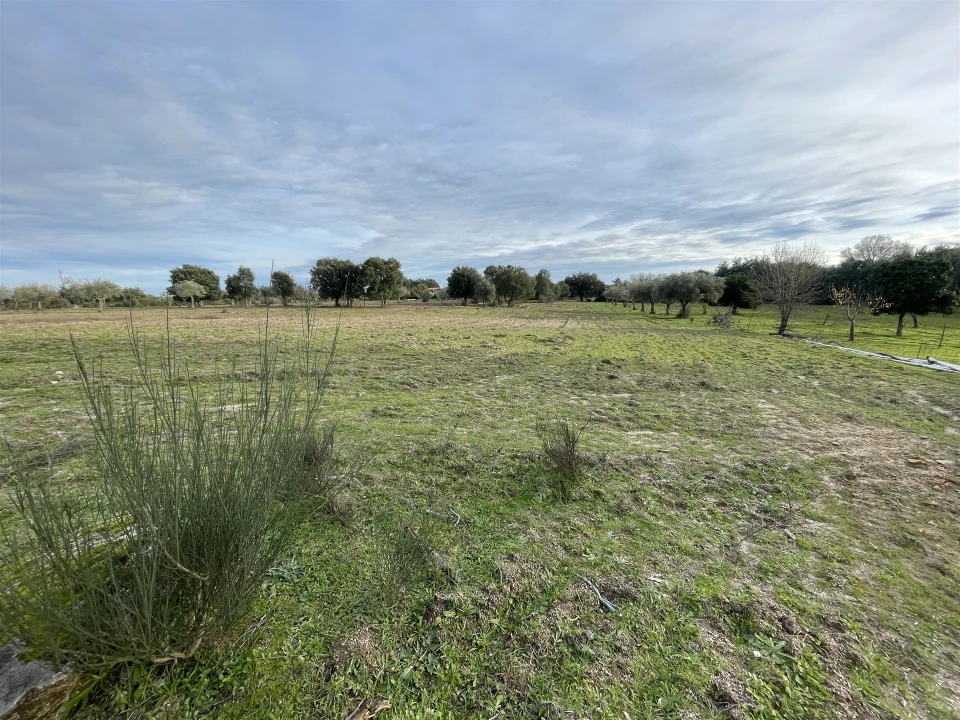 Terreno Agricola ou Rústico para Venda em Soalheira Foto 46