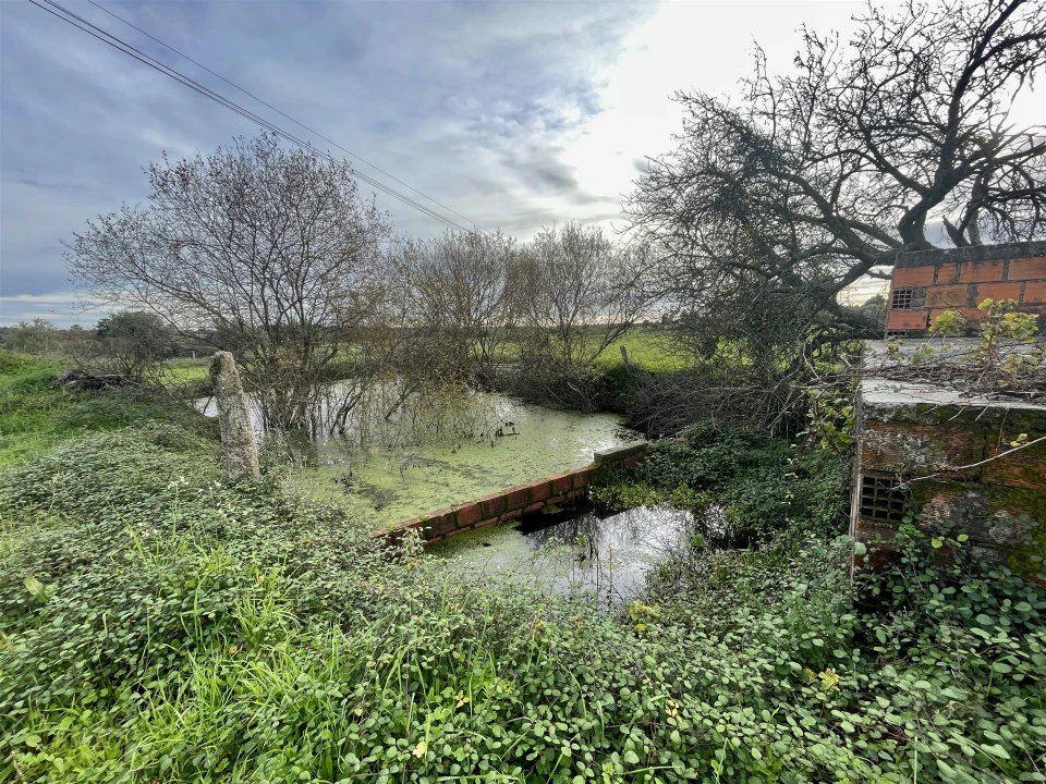 Terreno Agricola ou Rústico para Venda em Soalheira Foto 8