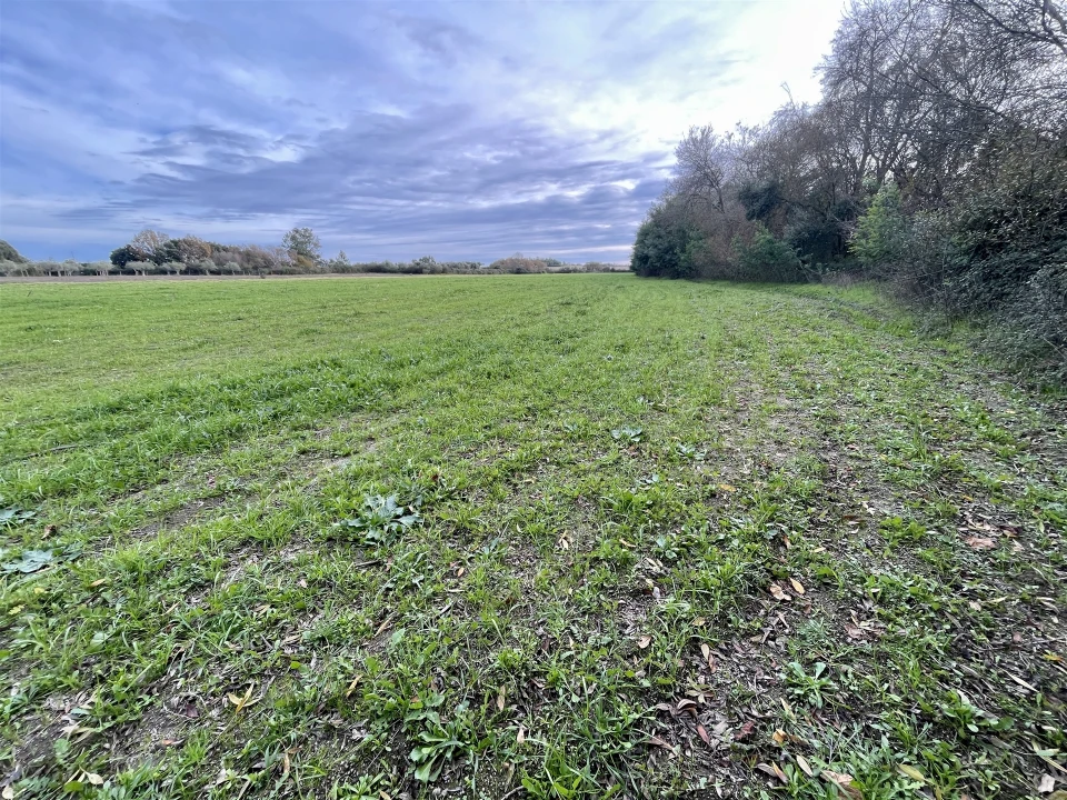 Terreno Agricola ou Rústico para Venda em Soalheira Foto 31