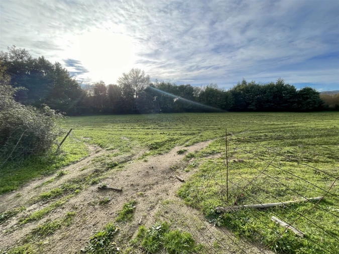 Terreno Agricola ou Rústico para Venda em Soalheira Foto 40