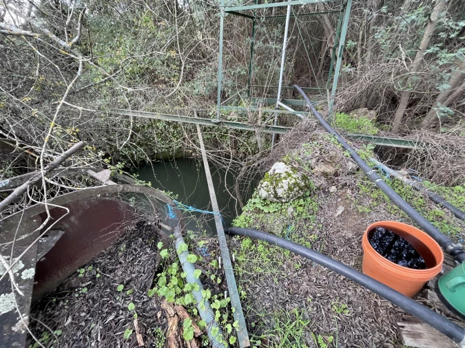 Terreno Agricola ou Rústico para Venda em Soalheira Foto 42