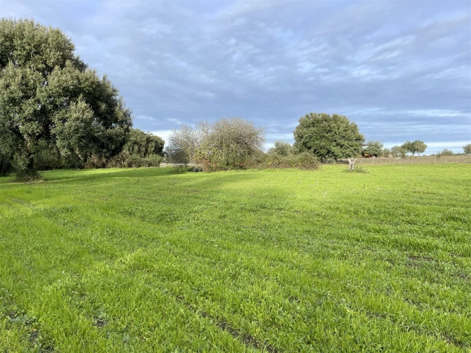 Terreno Agricola ou Rústico para Venda em Soalheira Foto 32