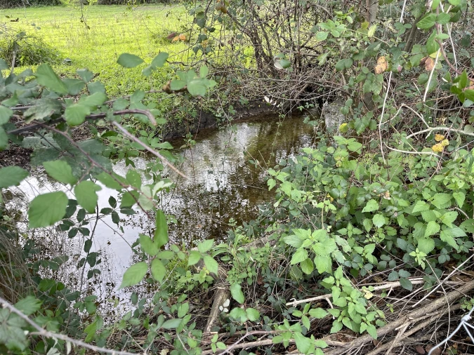 Terreno Agricola ou Rústico para Venda em Soalheira Foto 30