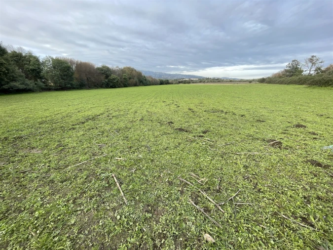 Terreno Agricola ou Rústico para Venda em Soalheira Foto 27