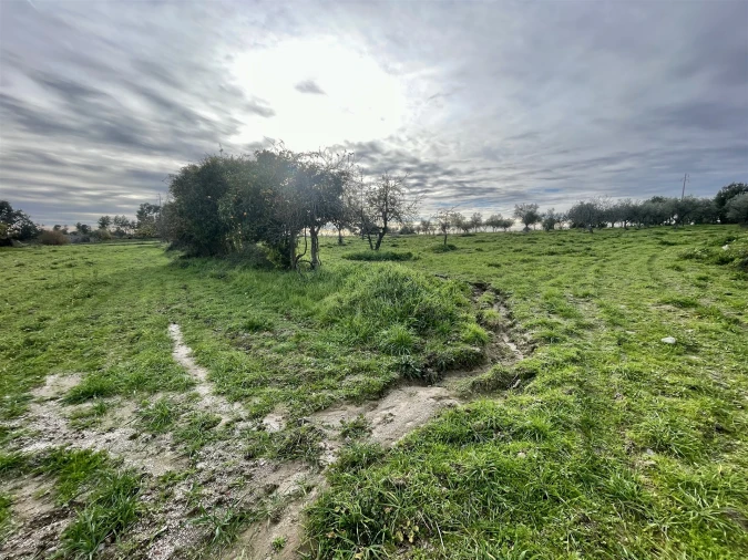 Terreno Agricola ou Rústico para Venda em Soalheira Foto 15