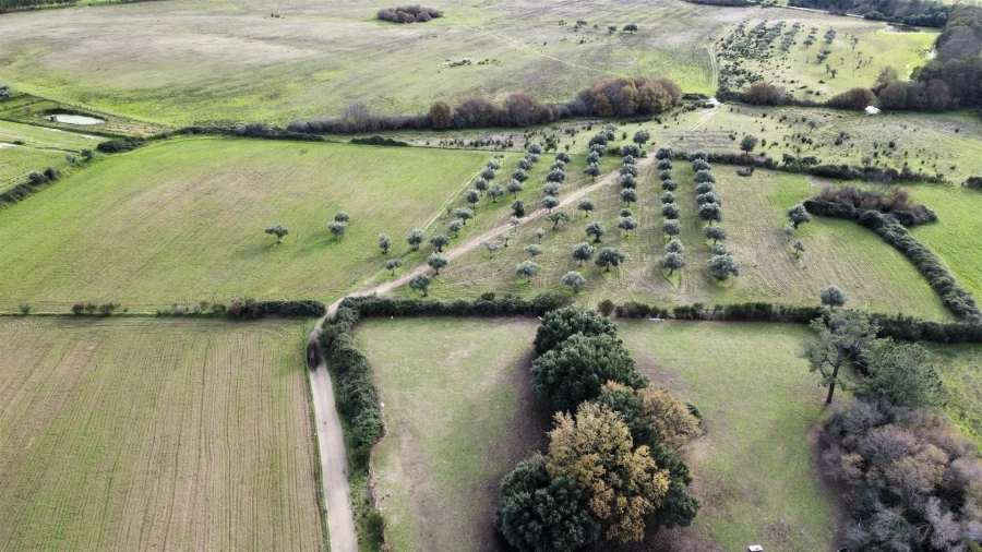 Terreno Agricola ou Rústico para Venda em Soalheira Foto 5