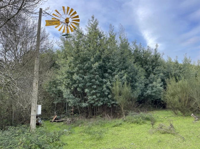 Terreno Agricola ou Rústico para Venda em Soalheira Foto 41