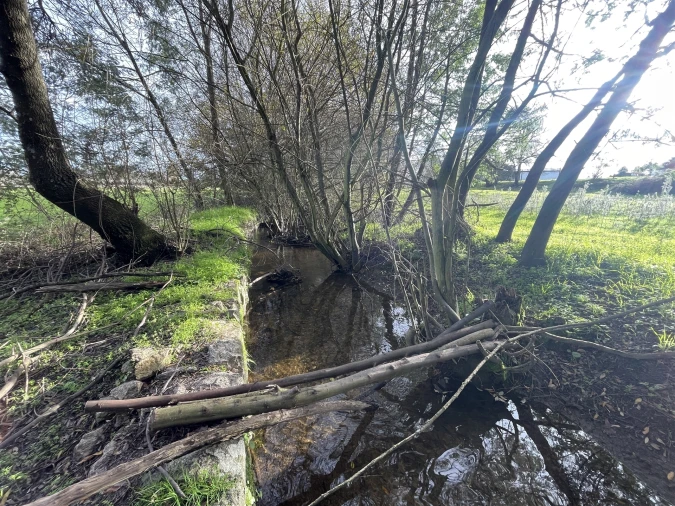 Terreno Agricola ou Rústico para Venda em Soalheira Foto 34