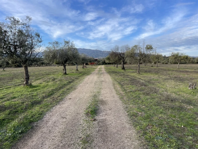 Terreno Agricola ou Rústico para Venda em Soalheira Foto 59