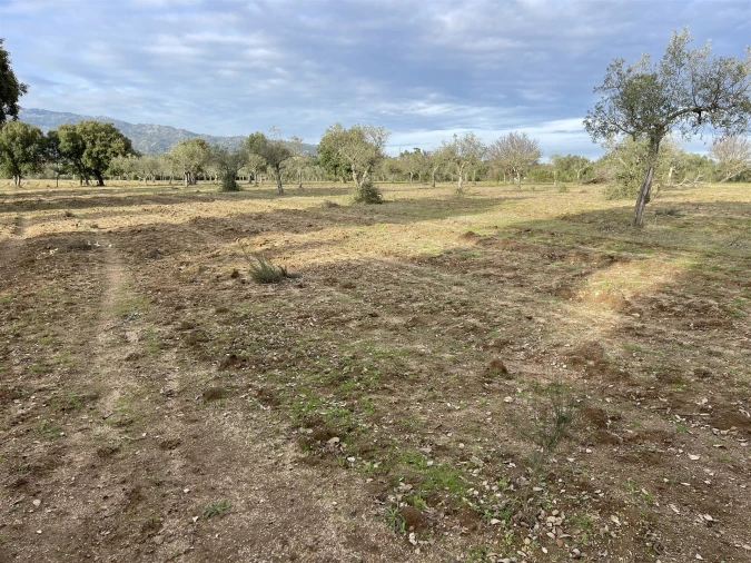 Terreno Agricola ou Rústico para Venda em Soalheira Foto 38