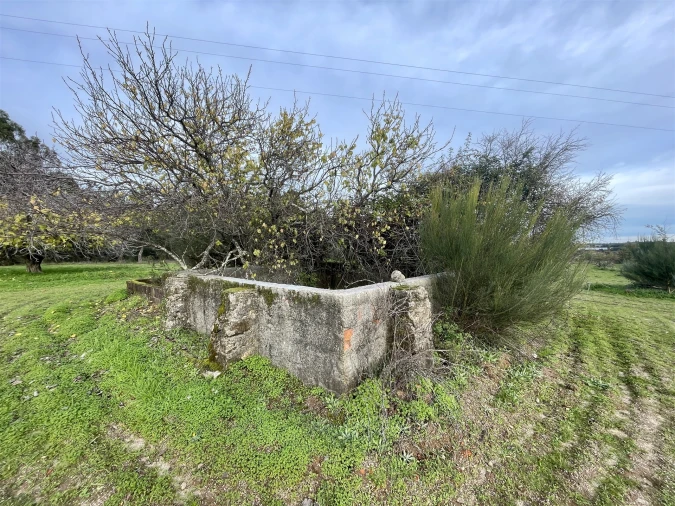 Terreno Agricola ou Rústico para Venda em Soalheira Foto 18