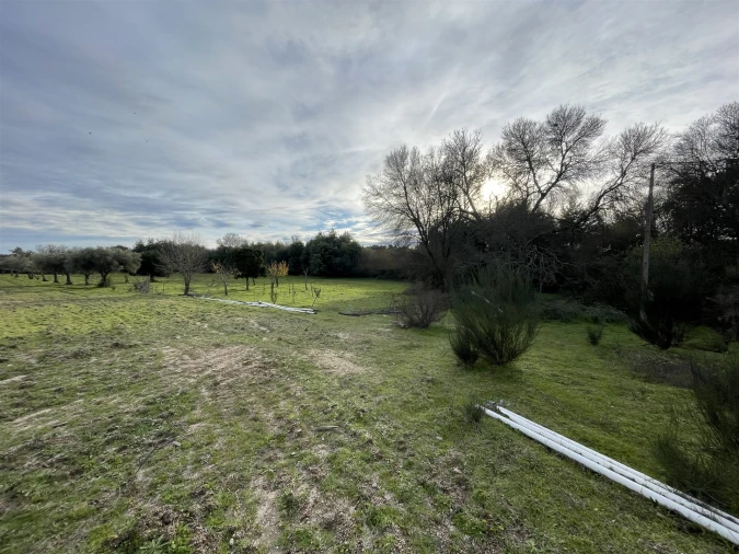 Terreno Agricola ou Rústico para Venda em Soalheira Foto 45