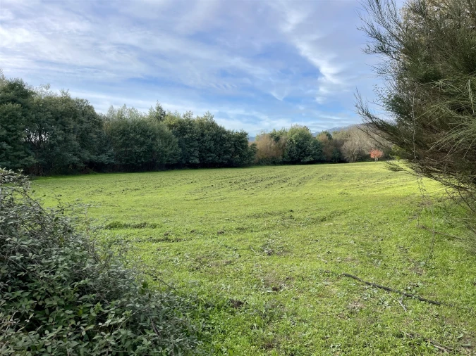 Terreno Agricola ou Rústico para Venda em Soalheira Foto 37