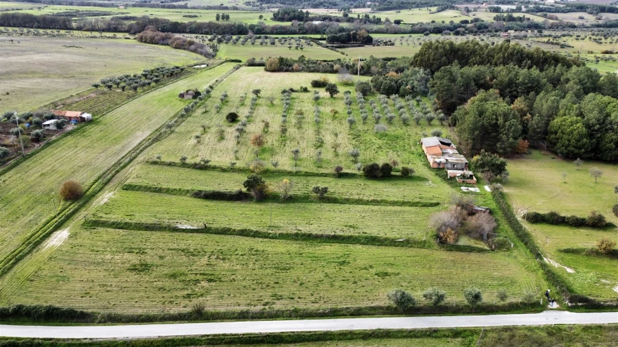 Terreno Agricola ou Rústico para Venda em Soalheira Foto 4