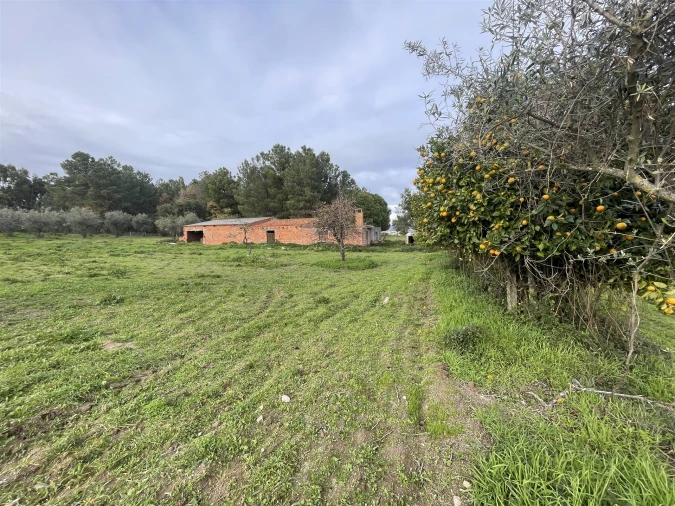 Terreno Agricola ou Rústico para Venda em Soalheira Foto 10