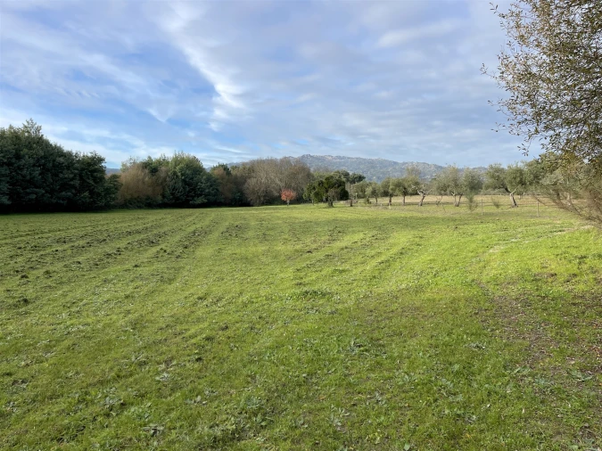 Terreno Agricola ou Rústico para Venda em Soalheira Foto 36