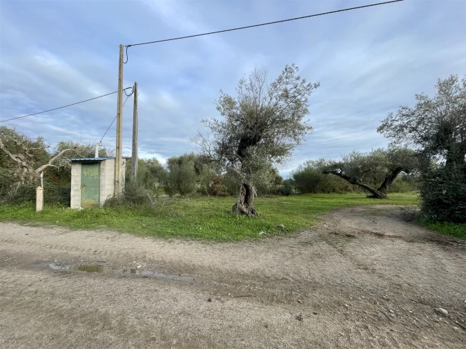 Terreno Agricola ou Rústico para Venda em Soalheira Foto 48