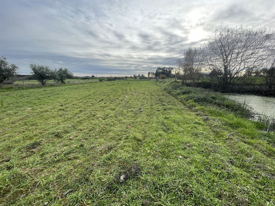 Terreno Agricola ou Rústico para Venda em Soalheira Foto 14