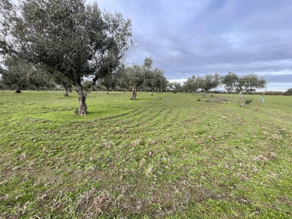 Terreno Agricola ou Rústico para Venda em Soalheira Foto 25