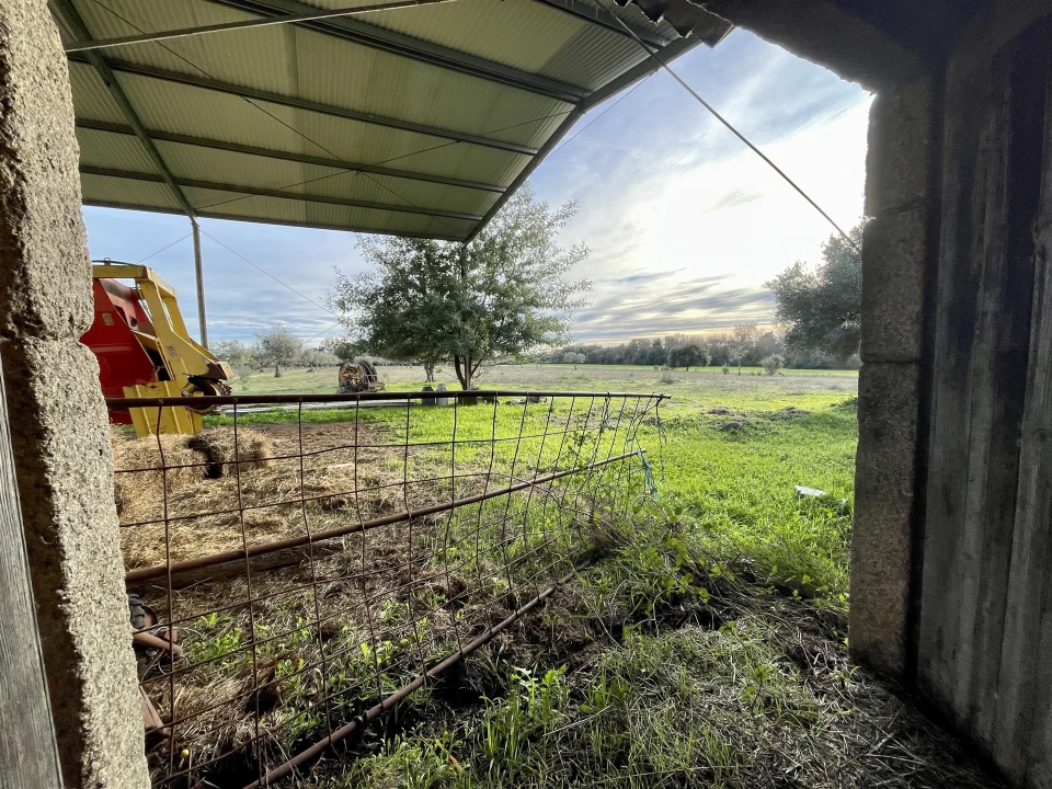 Terreno Agricola ou Rústico para Venda em Soalheira Foto 56