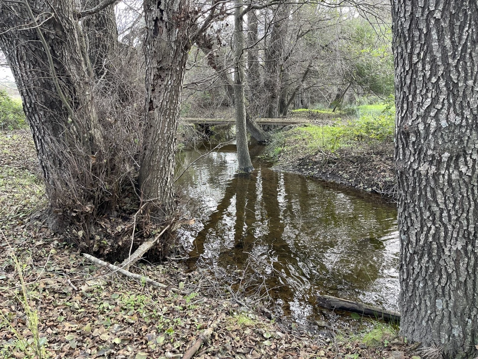 Terreno Agricola ou Rústico para Venda em Soalheira Foto 29
