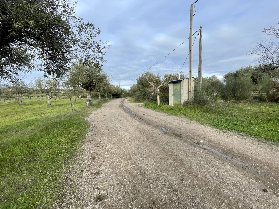 Terreno Agricola ou Rústico para Venda em Soalheira Foto 47