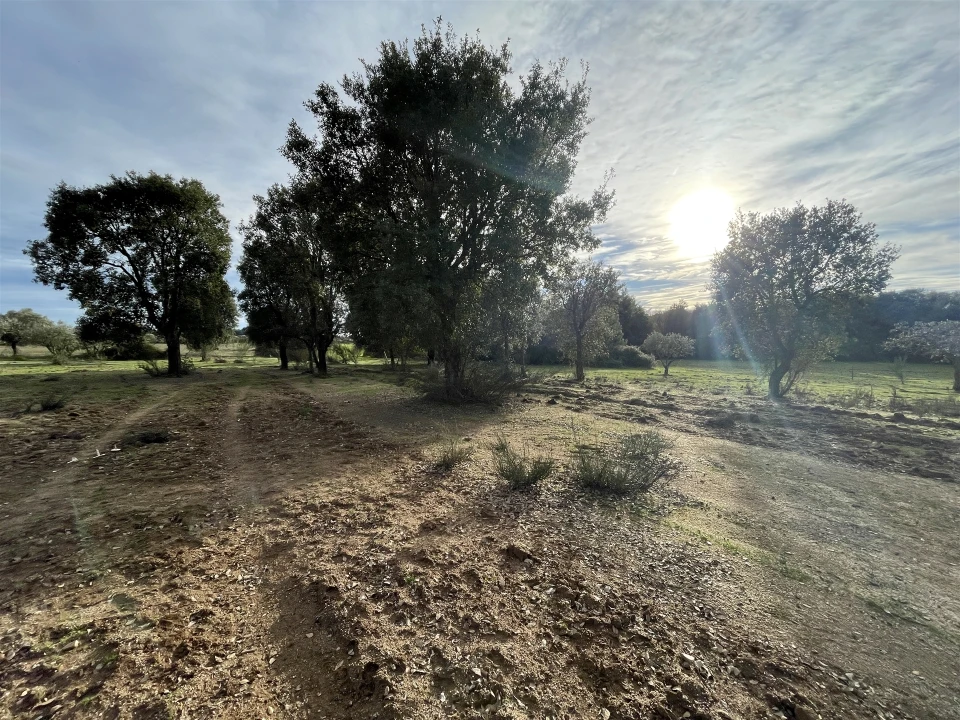 Terreno Agricola ou Rústico para Venda em Soalheira Foto 39