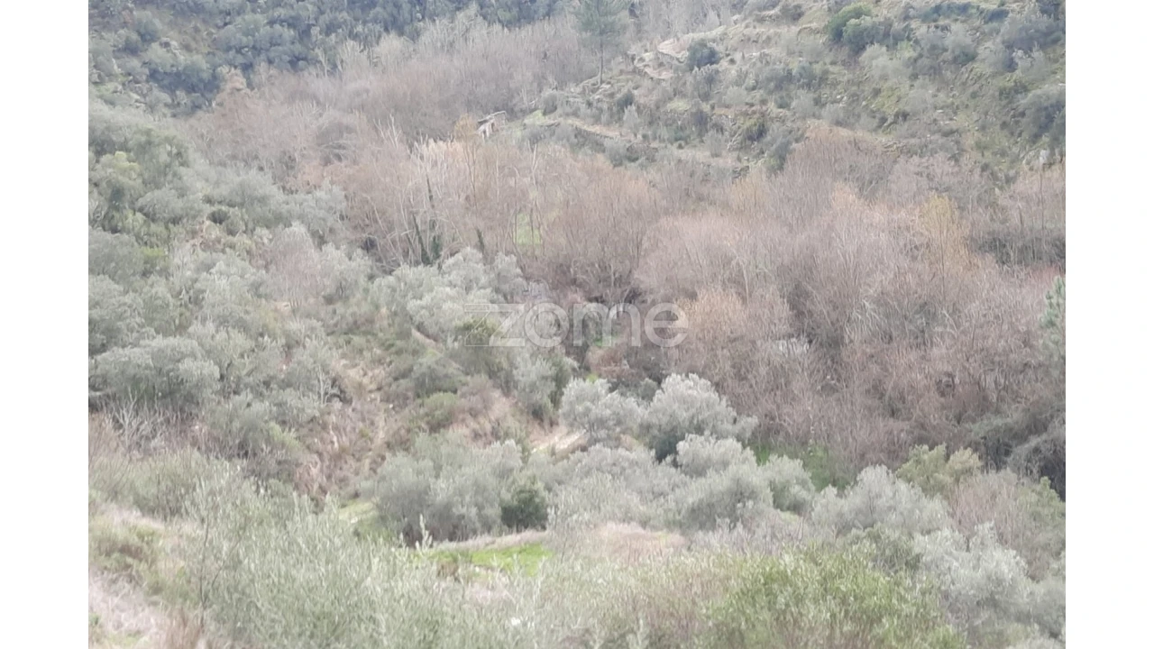 Terreno para Venda em Barcos e Santa Leocádia Foto 34