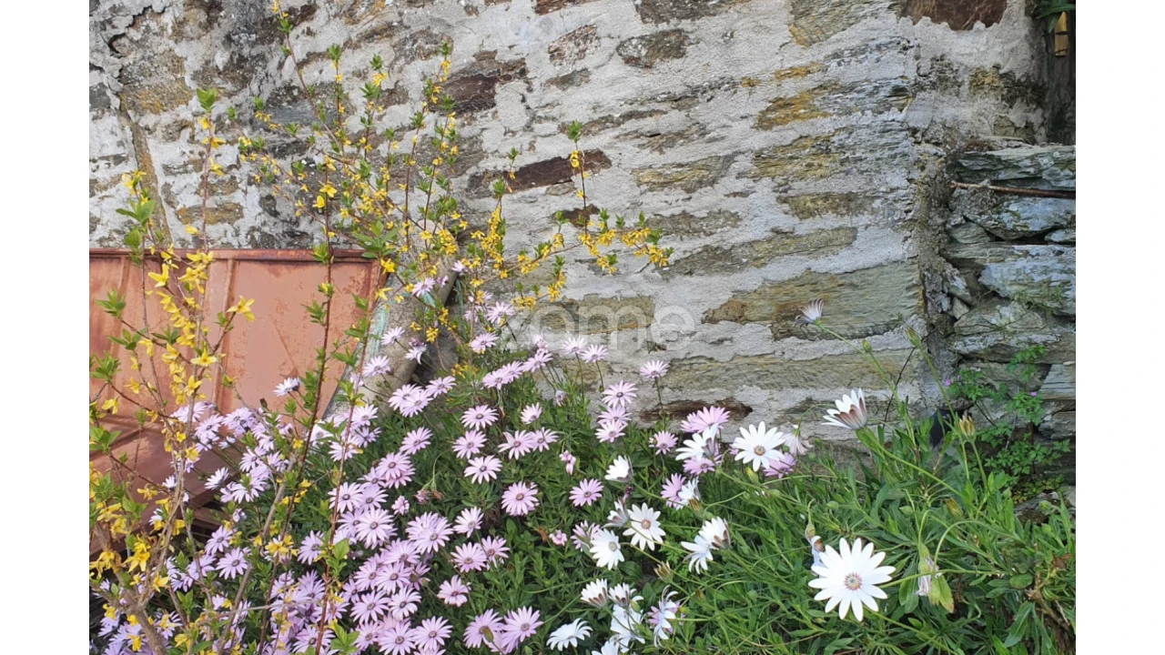 Terreno para Venda em Barcos e Santa Leocádia Foto 9