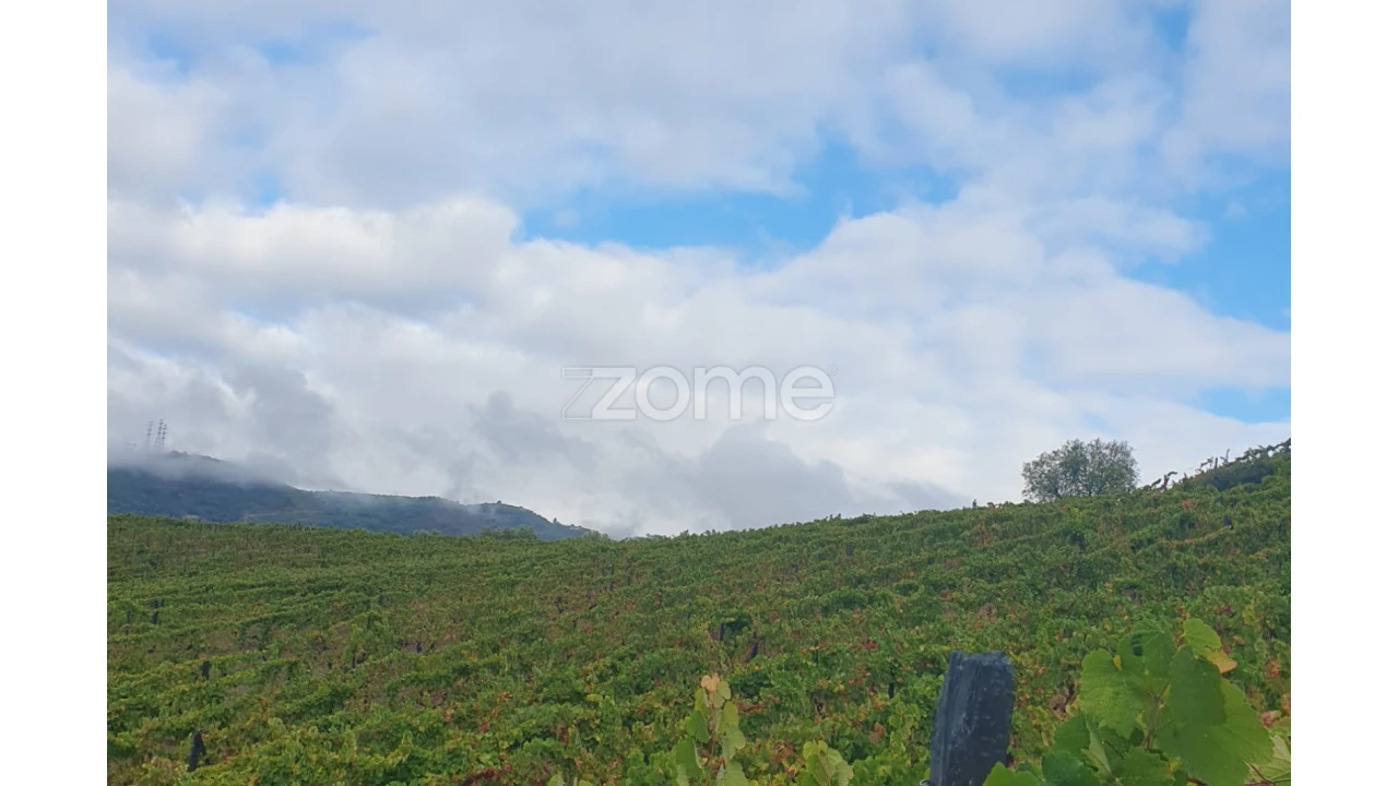 Terreno para Venda em Barcos e Santa Leocádia Foto 31