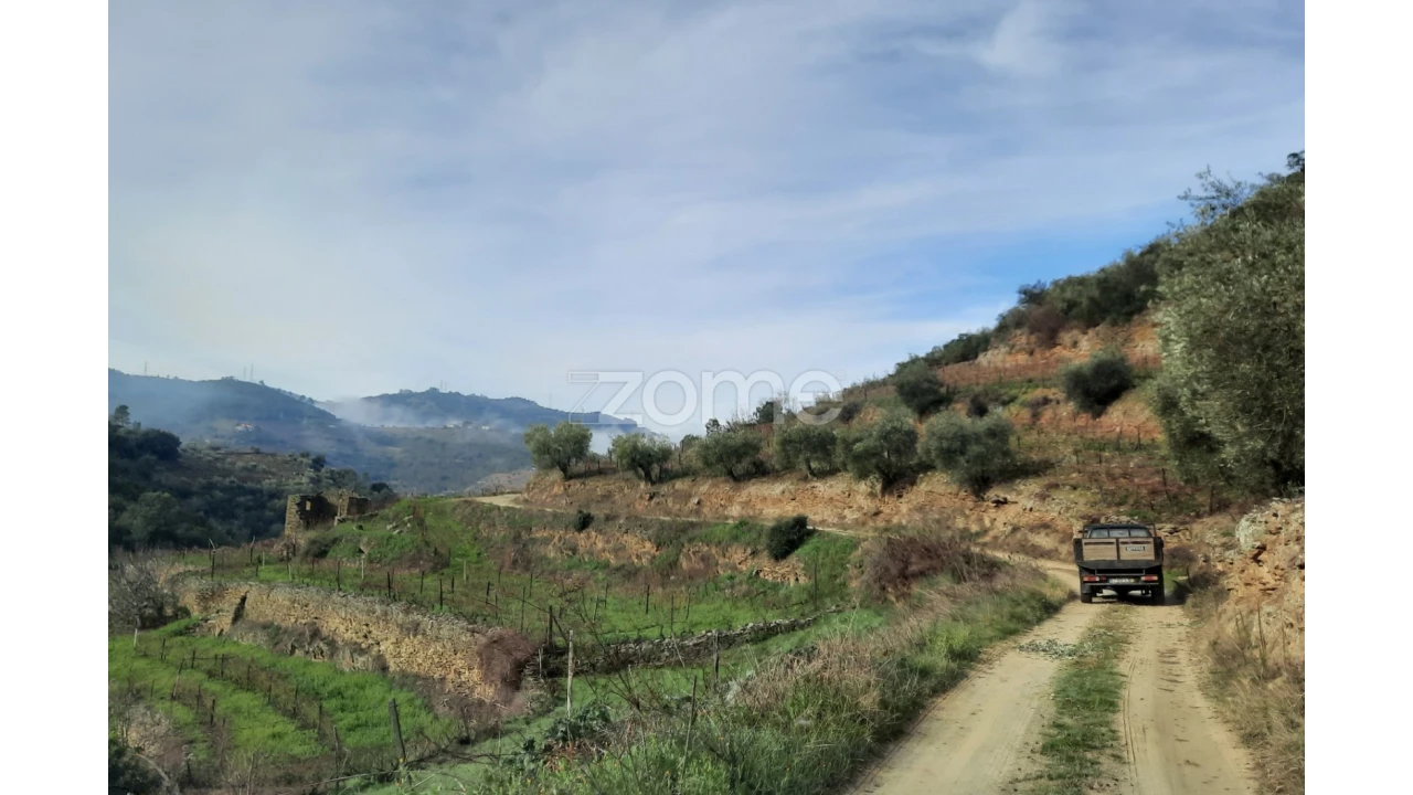 Terreno para Venda em Barcos e Santa Leocádia Foto 4