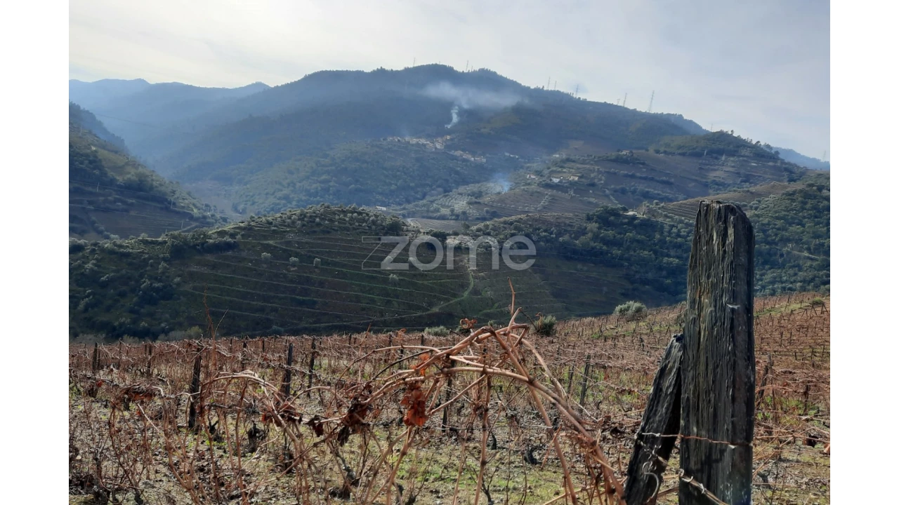 Terreno para Venda em Barcos e Santa Leocádia Foto 11