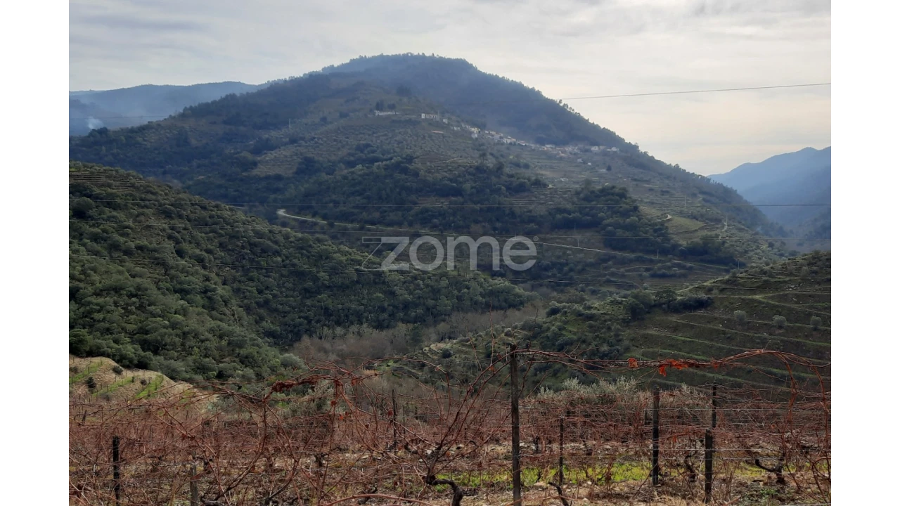 Terreno para Venda em Barcos e Santa Leocádia Foto 13