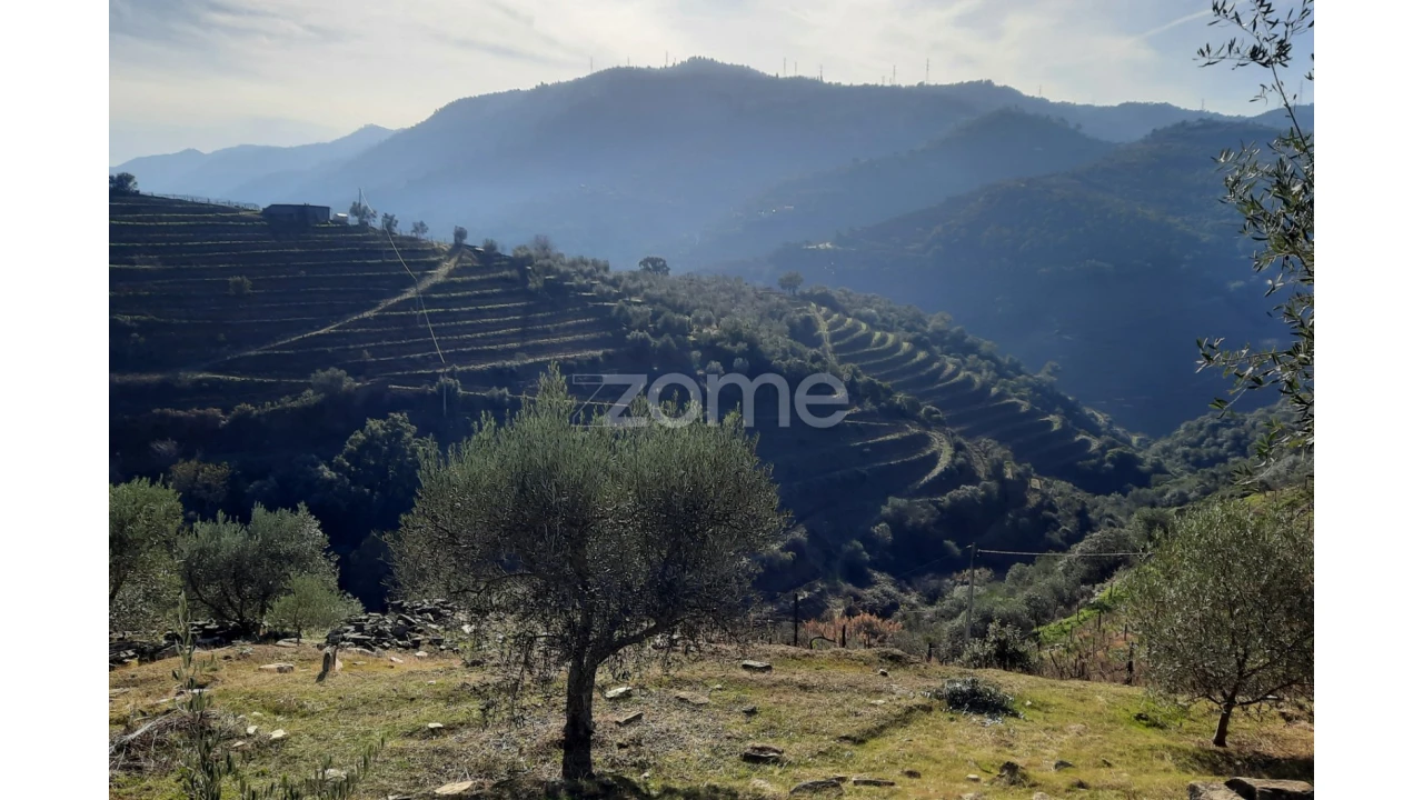Terreno para Venda em Barcos e Santa Leocádia Foto 21