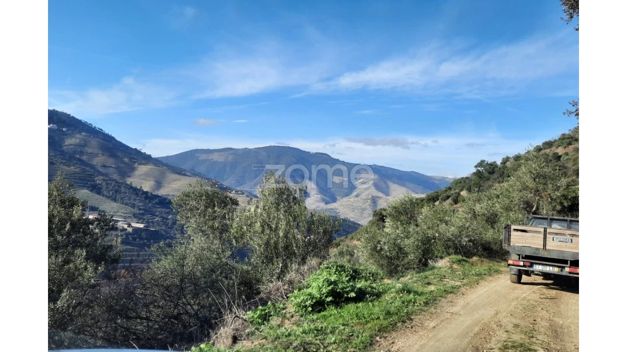 Terreno para Venda em Barcos e Santa Leocádia Foto 26