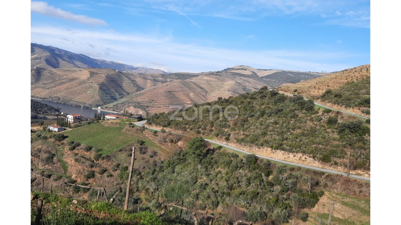 Terreno para Venda em Barcos e Santa Leocádia Foto 29
