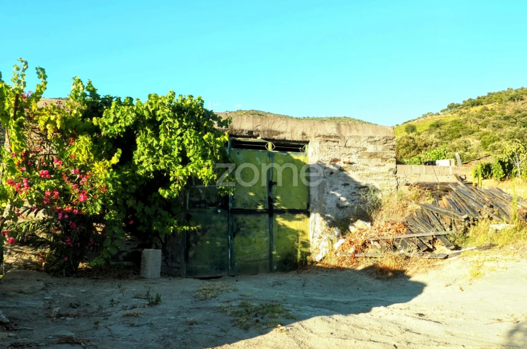Terreno para Venda em Barcos e Santa Leocádia Foto 8