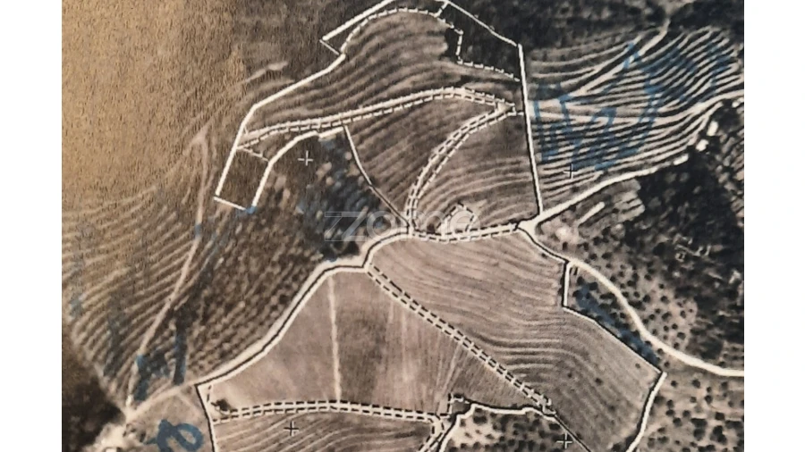 Terreno para Venda em Barcos e Santa Leocádia Foto 36