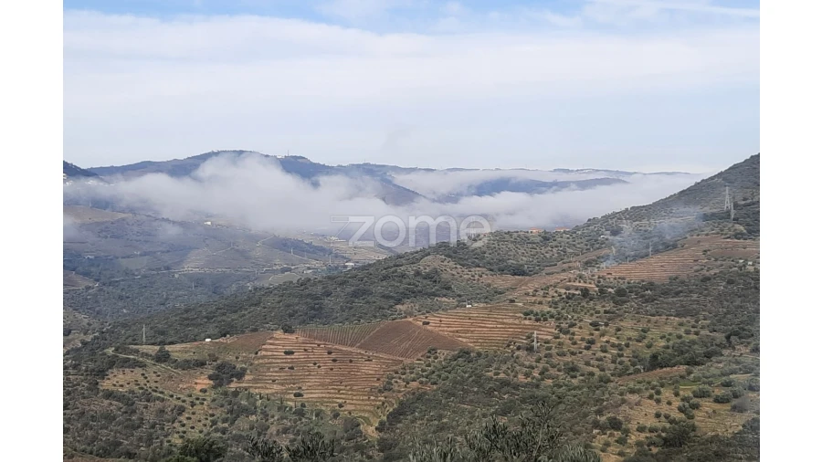 Terreno para Venda em Barcos e Santa Leocádia Foto 3