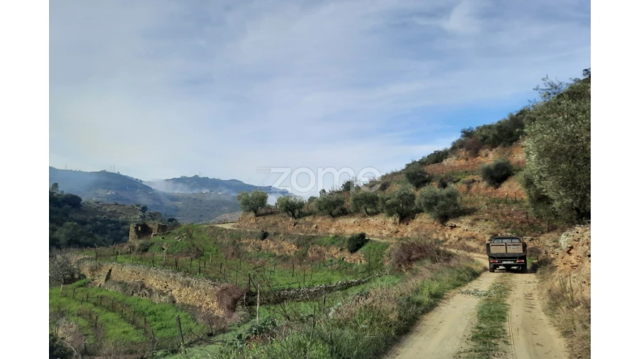 Terreno para Venda em Barcos e Santa Leocádia Foto 4