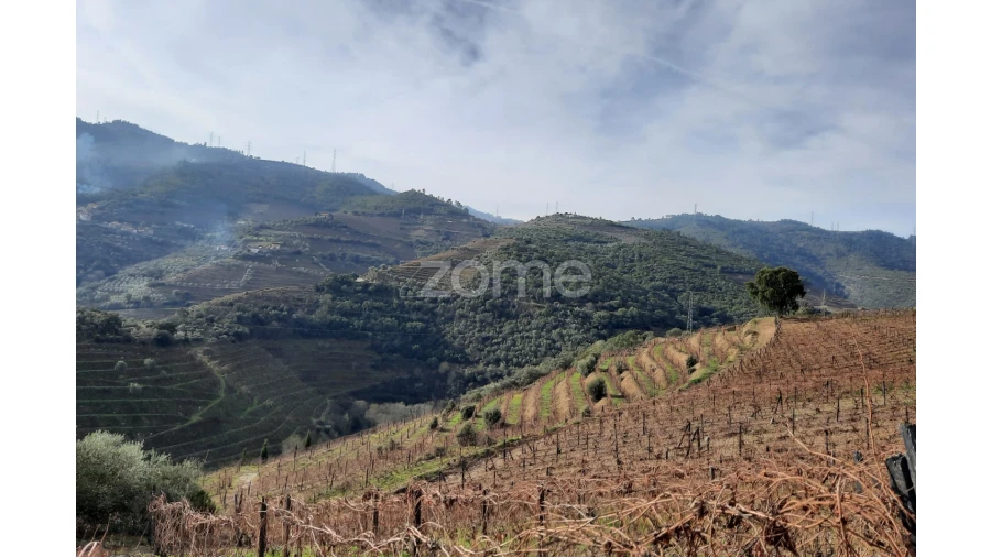 Terreno para Venda em Barcos e Santa Leocádia Foto 12