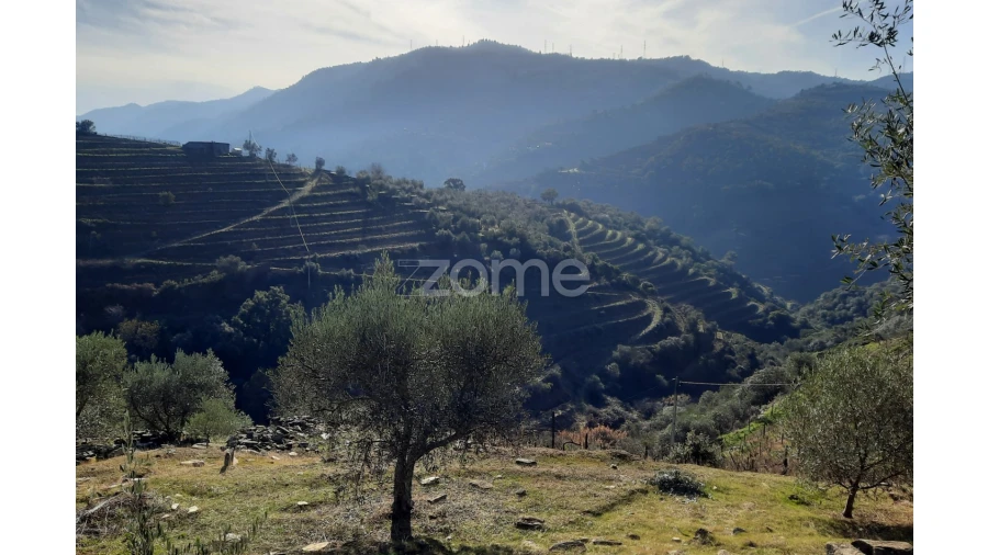 Terreno para Venda em Barcos e Santa Leocádia Foto 21
