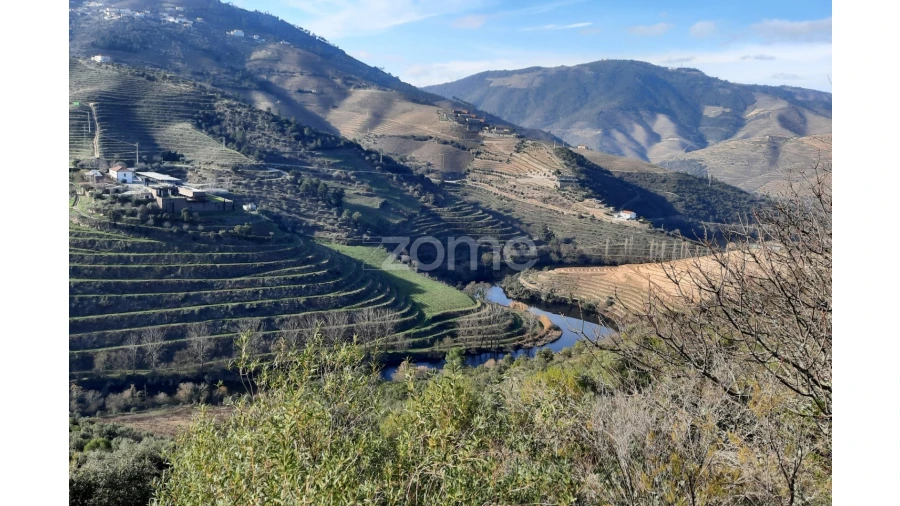 Terreno para Venda em Barcos e Santa Leocádia